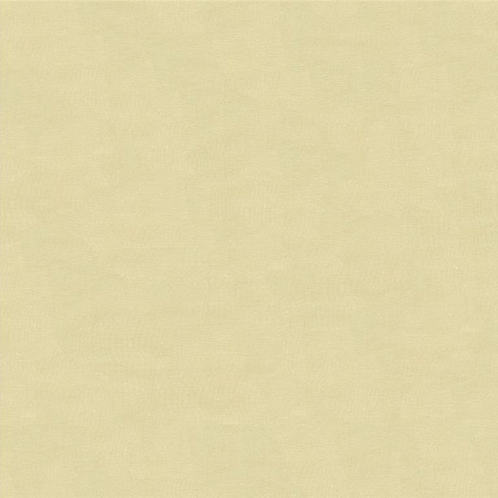 4070.1116 by Kravet Design Designer Fabric in our sample Silk 100% India See Sample Horizontal: See Sample and Vertical: See Sample 53.5 inches - Swanky Fabrics -