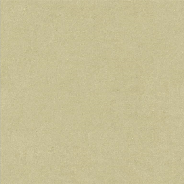 4070.1121 by Kravet Design Designer Fabric in our sample Silk 100% India See Sample Horizontal: See Sample and Vertical: See Sample 53.5 inches - Swanky Fabrics -