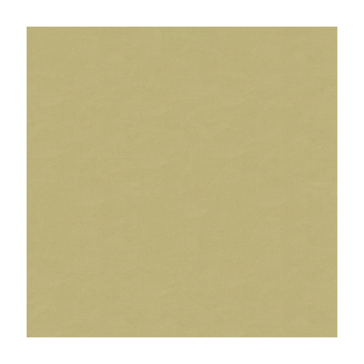 4070-106 by Kravet Design Designer Fabric - SILK - 100% India - Horizontal: - and Vertical: - 53.5 - Swanky Fabrics -