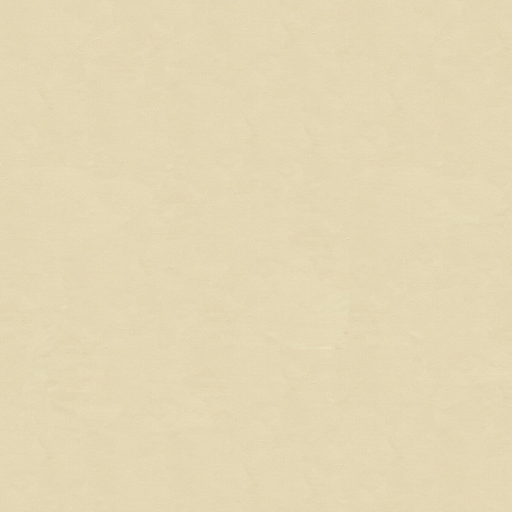 4070-1111 by Kravet Design Designer Fabric SILK - 100% India Horizontal: and Vertical: 53.5 - Swanky Fabrics -