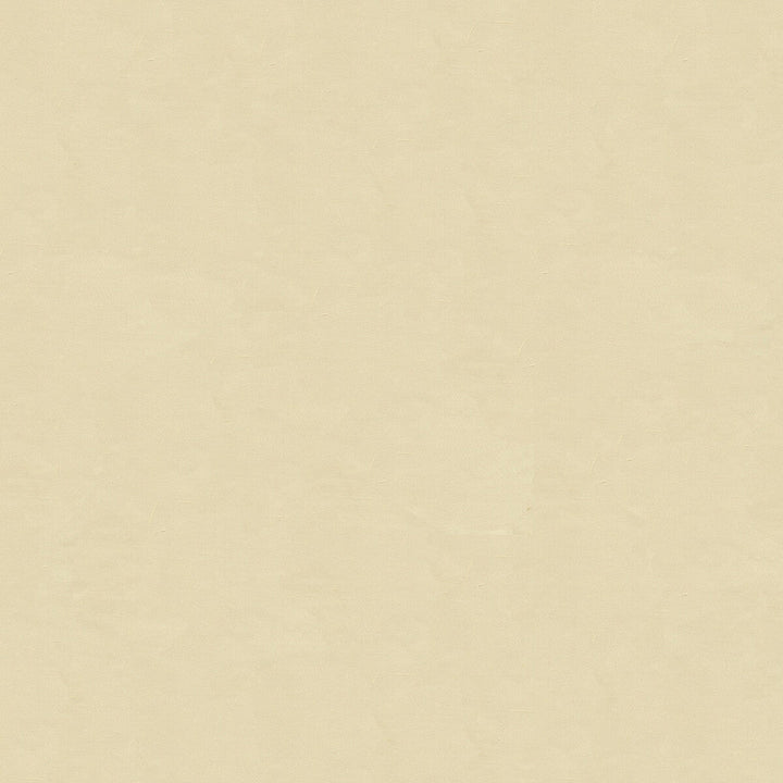 4070-1111 by Kravet Design Designer Fabric SILK - 100% India Horizontal: and Vertical: 53.5 - Swanky Fabrics -