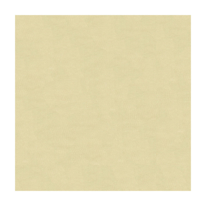 4070-1116 by Kravet Design Designer Fabric - SILK - 100% India - Horizontal: - and Vertical: - 53.5 - Swanky Fabrics -