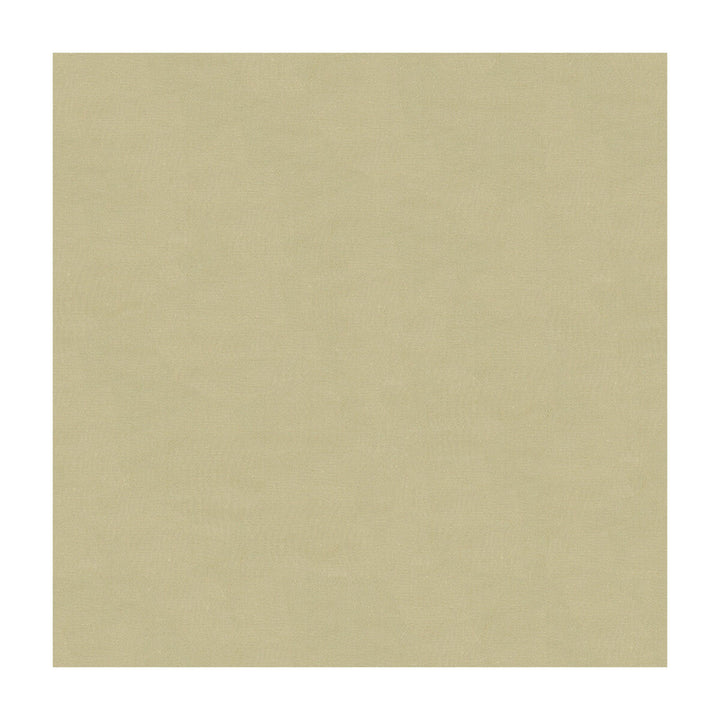 4070-11 by Kravet Design Designer Fabric - SILK - 100% India - Horizontal: - and Vertical: - 53.5 - Swanky Fabrics -