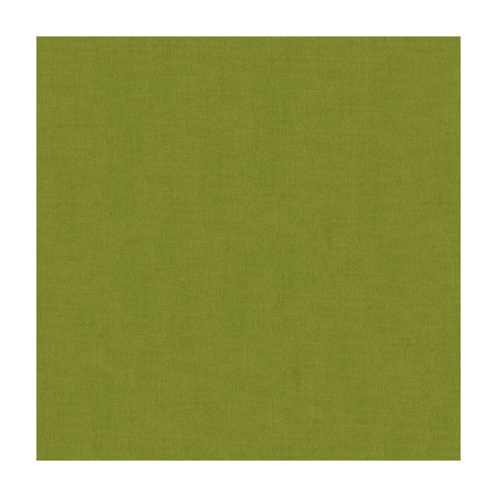4070-30 by Kravet Design Designer Fabric - SILK - 100% India - Horizontal: - and Vertical: - 53.5 - Swanky Fabrics -