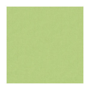 Kravet Fabric 4070-330