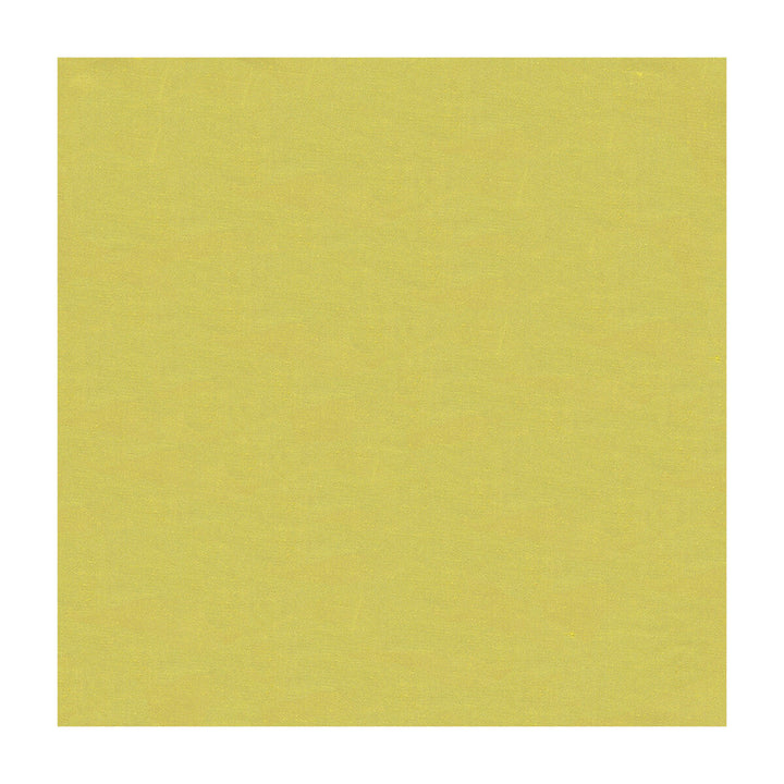 4070-3 by Kravet Design Designer Fabric SILK - 100% India Horizontal: and Vertical: 53.5 - Swanky Fabrics -