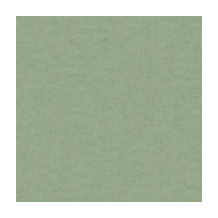 4070-5252 by Kravet Design Designer Fabric - SILK - 100% India - Horizontal: - and Vertical: - 53.5 - Swanky Fabrics -