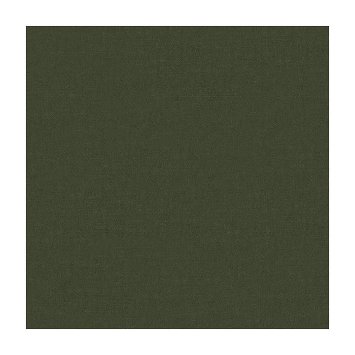 4070-52 by Kravet Design Designer Fabric SILK - 100% India Horizontal: and Vertical: 53.5 - Swanky Fabrics -