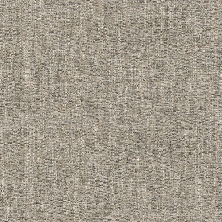 Accent Safari 407414 by PKL Studio Designer Fabric - 97%Polyester 3%Cotton INDIA 51000 Horizontal: 0 and Vertical: 0 54 - Swanky Fabrics -