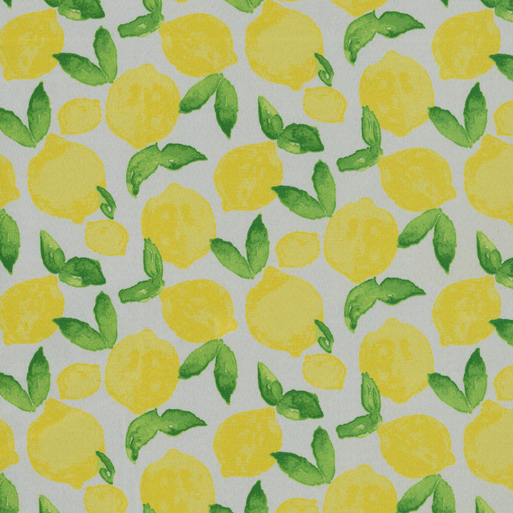 Citrus Squeeze Yellow 408930 by PKL Studio Outdoor Designer Fabric - 100% Spun Polyester Pakistan 51000 Horizontal: 6.75 and Vertical: 8.42 54 - Swanky Fabrics -