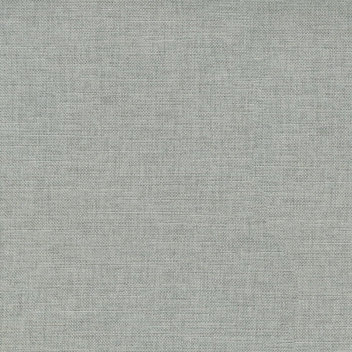 Reba Sterling 409111 by PKL Studio Designer Fabric - 100% Polyester China 51000 Horizontal: 0 and Vertical: 0 55 - Swanky Fabrics -