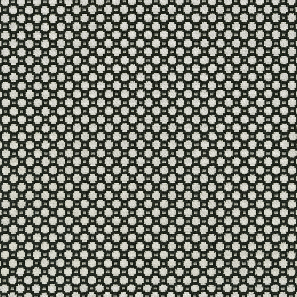 Alden Domino 409360 by Performance Designer Fabric - Base:77%Cotton 23%Polyester CHINA 51000 Horizontal: 0.6 and Vertical: 0.7 54 - Swanky Fabrics -