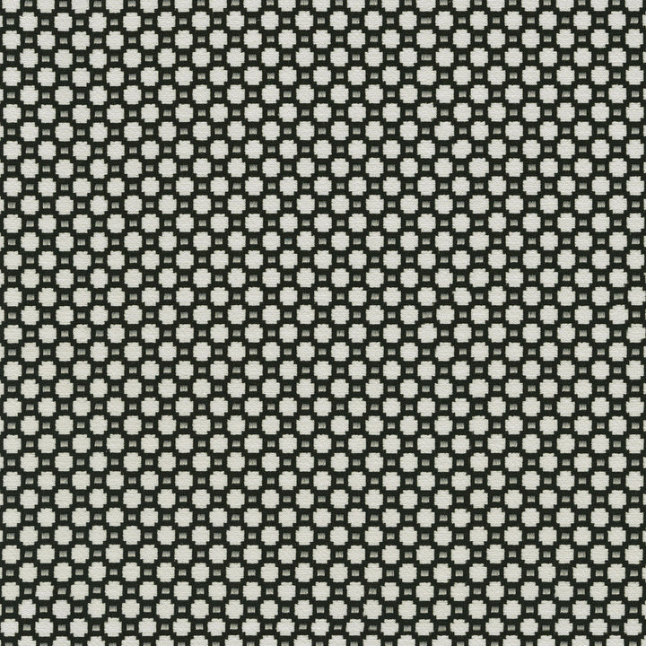Alden Domino 409360 by Performance Designer Fabric - Base:77%Cotton 23%Polyester CHINA 51000 Horizontal: 0.6 and Vertical: 0.7 54 - Swanky Fabrics -