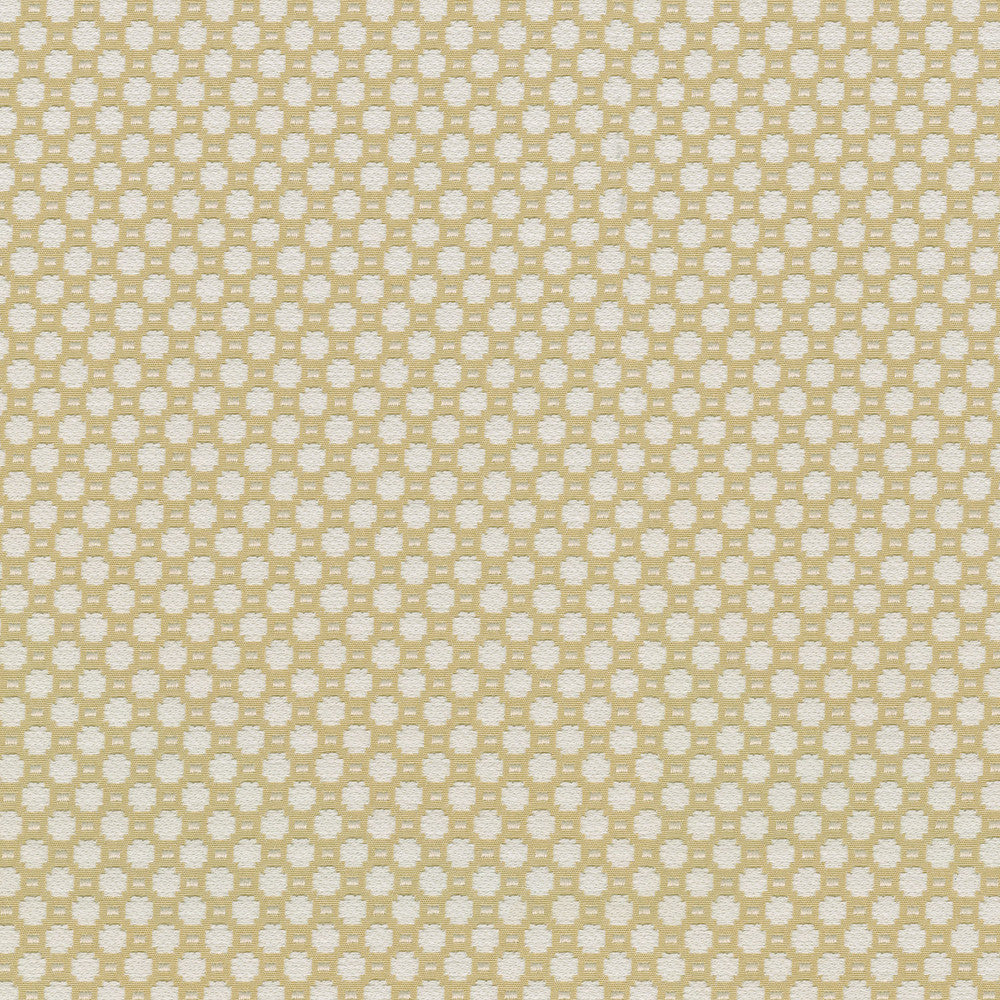 Alden Canary 409362 by Performance Designer Fabric - Base:77%Cotton 23%Polyester CHINA 51000 Horizontal: 0.6 and Vertical: 0.7 54 - Swanky Fabrics -