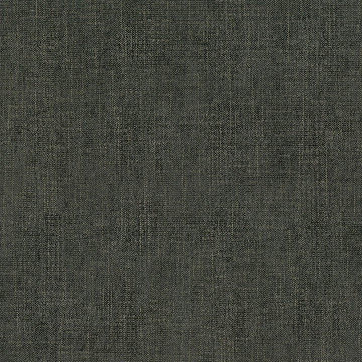 Remy Charcoal 409420 by Performance+ Designer Fabric - 100% Cotton China 51000 Horizontal: N/A and Vertical: N/A 54 - Swanky Fabrics -