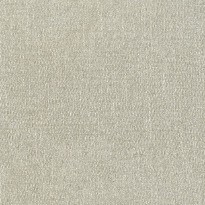Remy Flax 409424 by Performance Designer Fabric - 90% Polyester 10% Rayon CHINA 51000 Horizontal: 0 and Vertical: 0 54 - Swanky Fabrics -