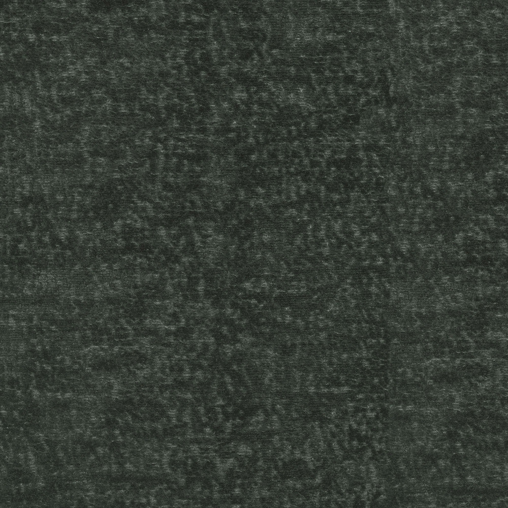Teddy Char 409462 by Performance Designer Fabric - Face:100%Polyester Back:100%Acrylic CHINA 51000 Horizontal: 0 and Vertical: 0 55 - Swanky Fabrics -