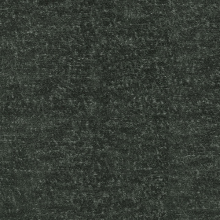 Teddy Char 409462 by Performance Designer Fabric - Face:100%Polyester Back:100%Acrylic CHINA 51000 Horizontal: 0 and Vertical: 0 55 - Swanky Fabrics -
