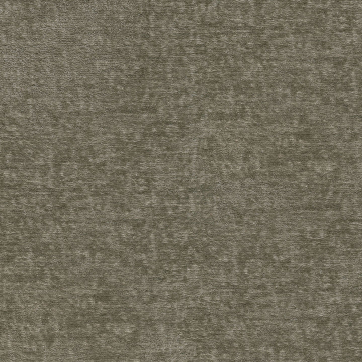 Teddy Fossil 409464 by Performance Designer Fabric - Face:100% Polyester Back:100% Acrylic CHINA 51000 Horizontal: 0 and Vertical: 0 55 - Swanky Fabrics -
