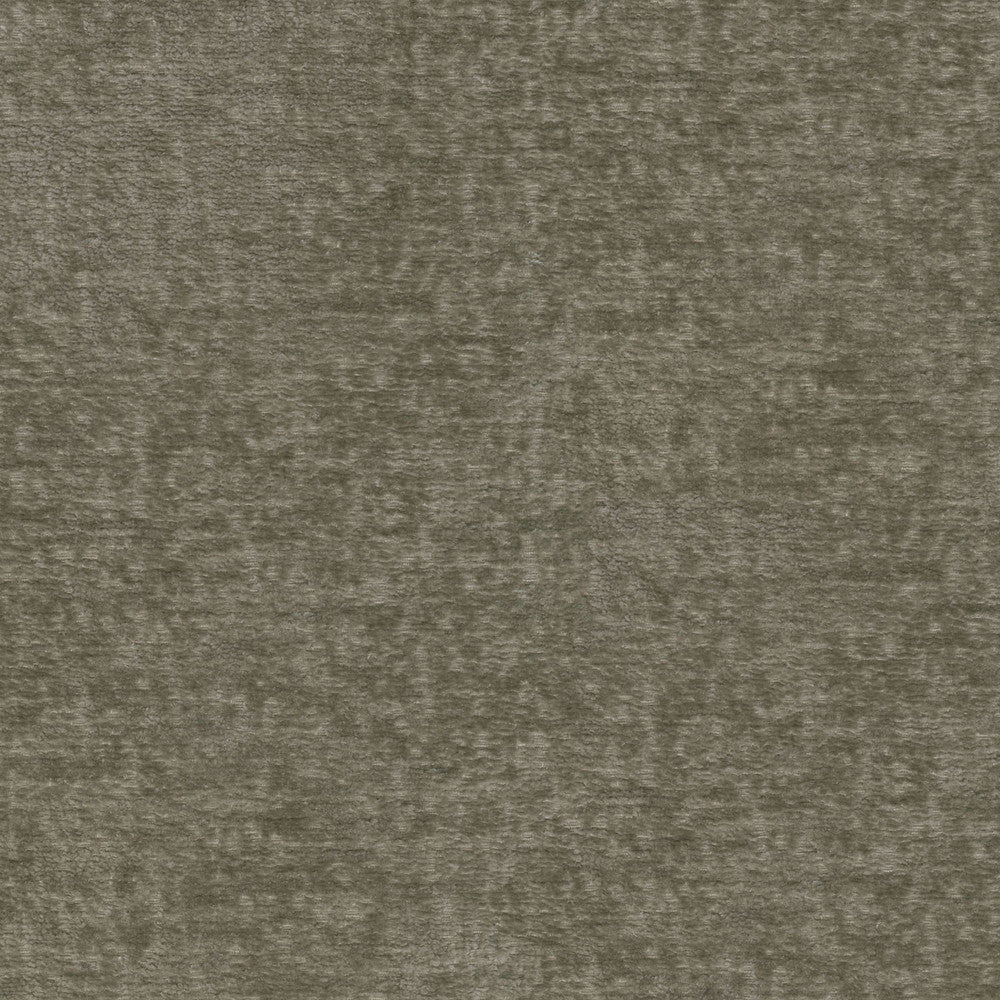 Teddy Fossil 409464 by Performance Designer Fabric - Face:100% Polyester Back:100% Acrylic CHINA 51000 Horizontal: 0 and Vertical: 0 55 - Swanky Fabrics -