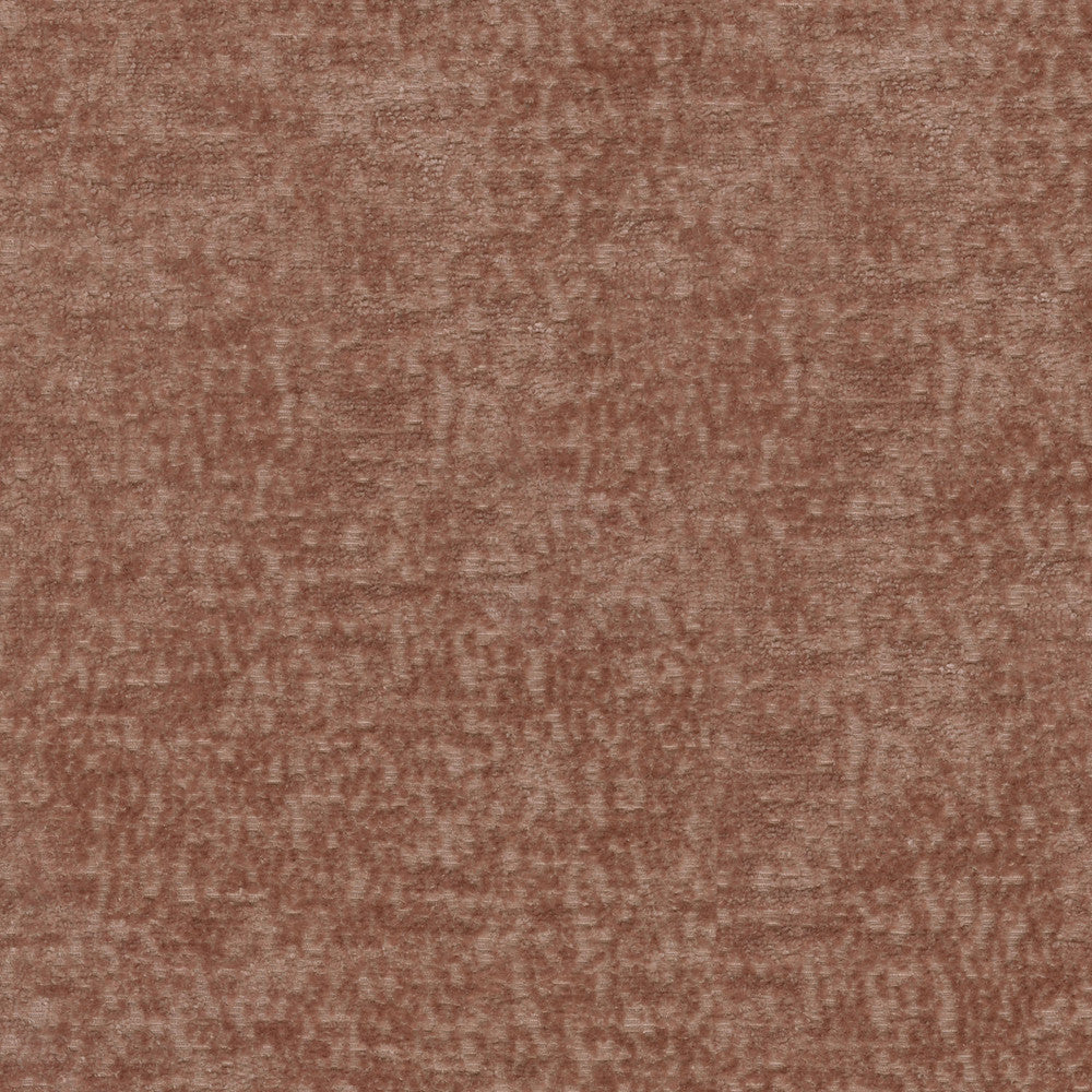 Teddy Blush 409469 by Performance Designer Fabric - Face:100% Polyester Back:100% Acrylic CHINA 51000 Horizontal: 0 and Vertical: 0 55 - Swanky Fabrics -