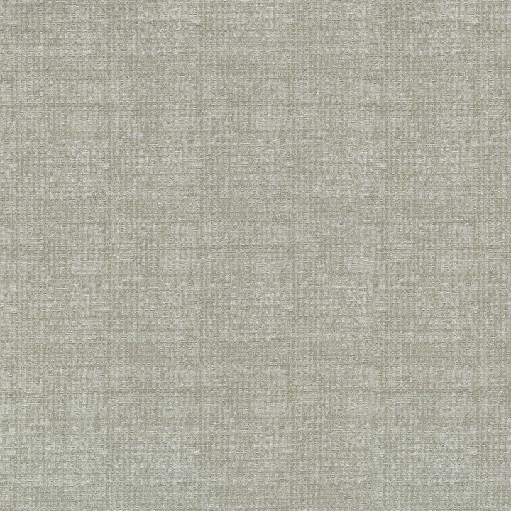 Odette Birch 409952 by PKL Studio Designer Fabric - 84% Polyester 16% Cotton INDIA 36000 Horizontal: 2.3 and Vertical: 3.7 55 - Swanky Fabrics -