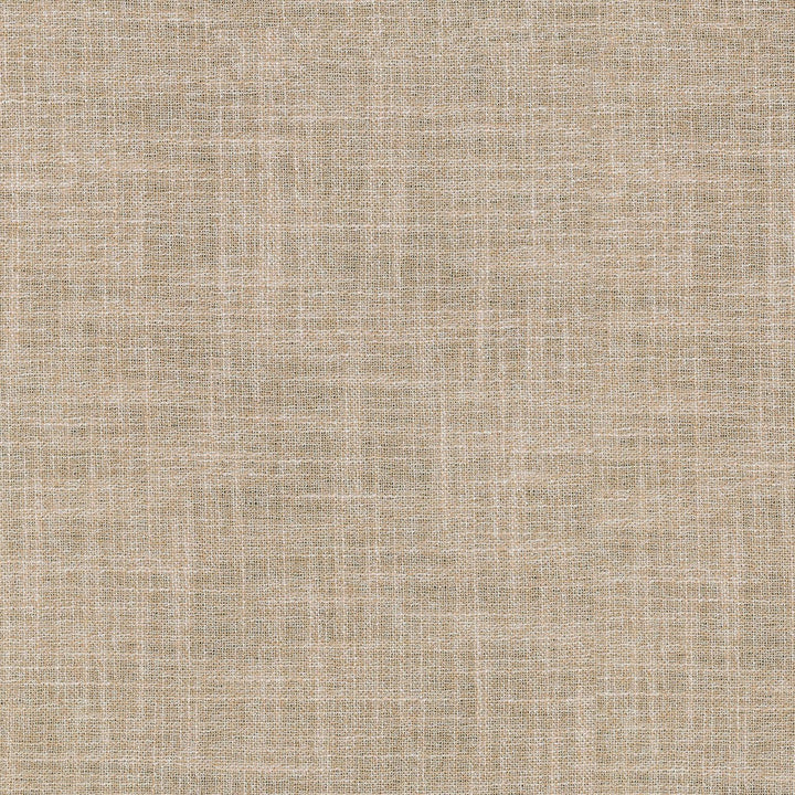Margot Blush 410076 by PKL Studio Designer Fabric - 75%Polyester 25%Cationic INDIA Horizontal: 0 and Vertical: 0 54 - Swanky Fabrics -