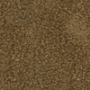 PKL Studio Fabric Curly Whirly Camel 410232