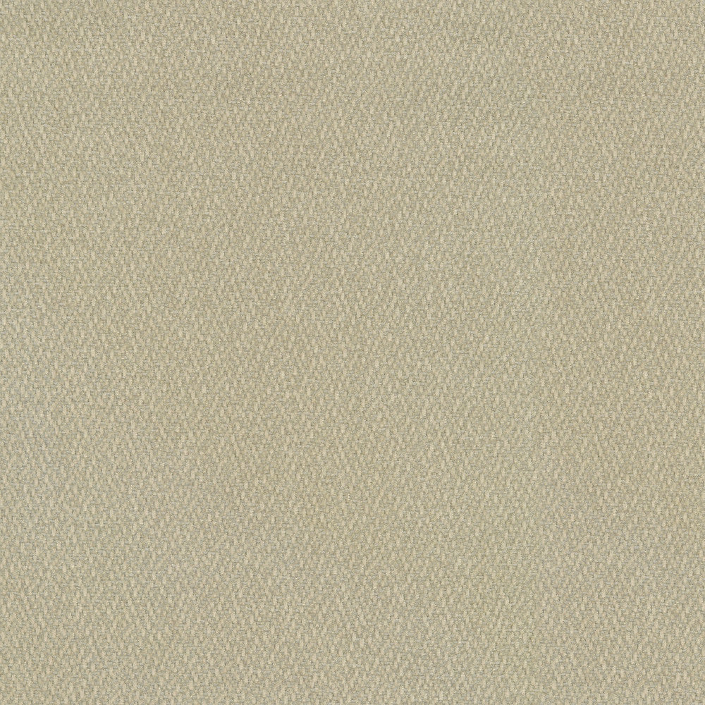 Cocoon Oyster 410290 by Performance Designer Fabric - Base:100%Polyester Back:100%Acrylic CHINA 51000 Horizontal: 0 and Vertical: 0 55 - Swanky Fabrics -