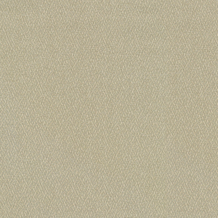 Cocoon Oyster 410290 by Performance Designer Fabric - Base:100%Polyester Back:100%Acrylic CHINA 51000 Horizontal: 0 and Vertical: 0 55 - Swanky Fabrics -