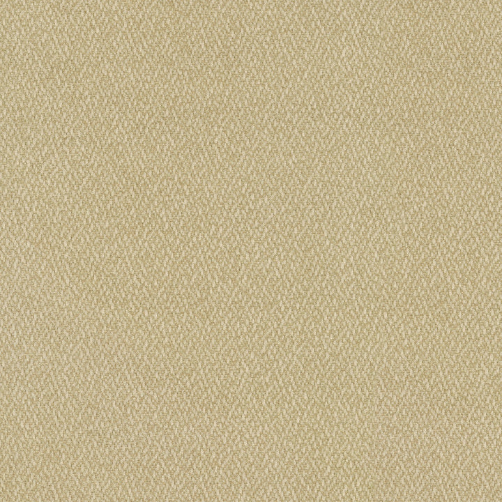 Cocoon Haystack 410291 by Performance Designer Fabric - Base:100%Polyester Back:100%Acrylic CHINA 51000 Horizontal: 0 and Vertical: 0 55 - Swanky Fabrics -