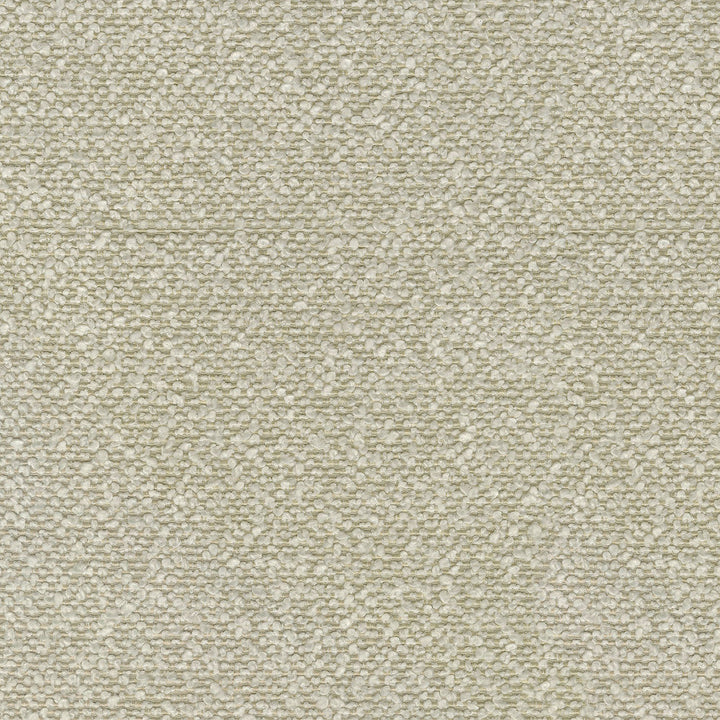 Amara Latte 410400 by Performance Designer Fabric - 70%Polyester 30% RECYCLED Polyester CHINA 51000 Horizontal: 0 and Vertical: 0 58 - Swanky Fabrics -