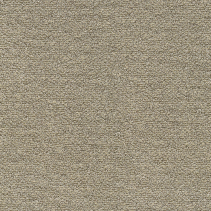Perf Amara Mushroom 410406 by PKL Studio Designer Fabric - 70% polyester, 30% recycled polyester Back: 100% polyester woven bobded back China 51000 Horizontal: 0 and Vertical: 0 58 - Swanky Fabrics -