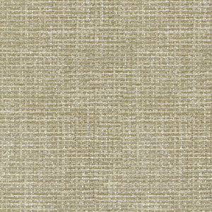 Performance Fabric Perf Cocoluxe Rattan 410881