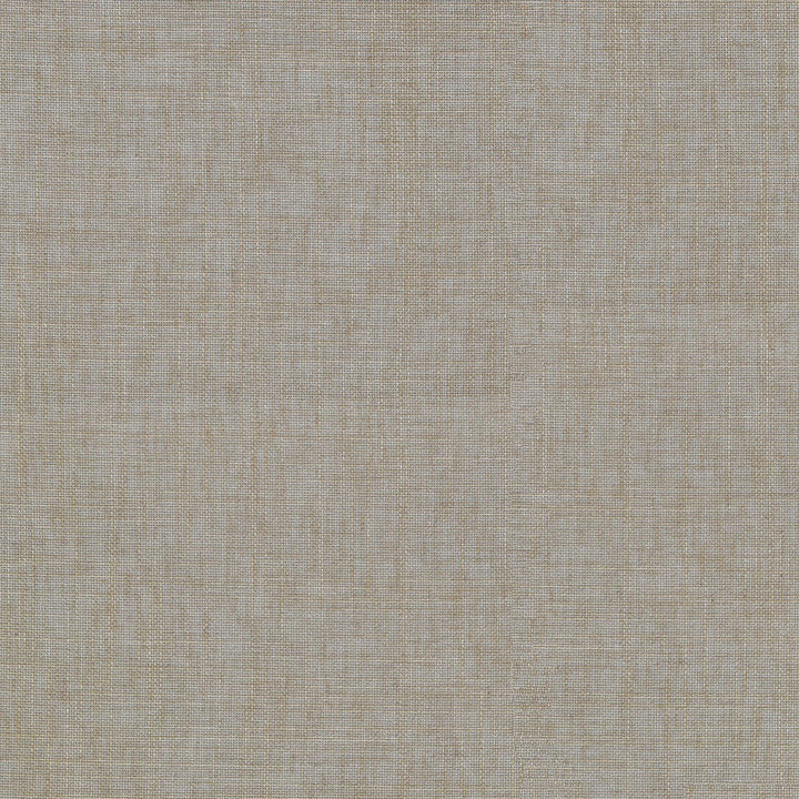 Angelina Linen 411102 by PKL Studio Designer Fabric 74% Polyester, 16% Cotton, 10% Linen India n/a Horizontal: N/A and Vertical: N/A 54 - Swanky Fabrics -