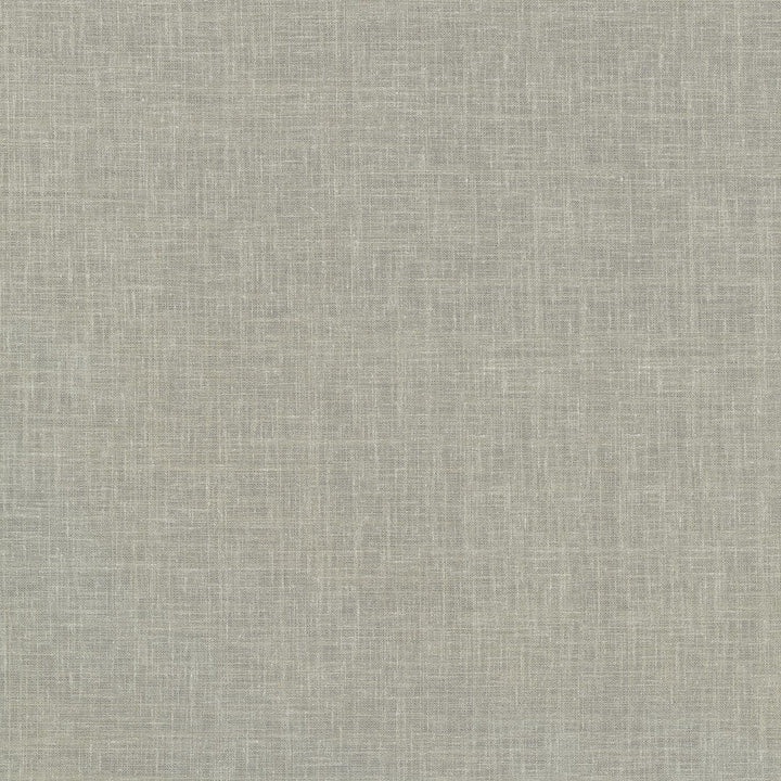 Isabella Silver 411113 by PKL Studio Designer Fabric 66% Polyester, 21% Cotton, 13% Linen India n/a Horizontal: N/A and Vertical: N/A 54 - Swanky Fabrics -