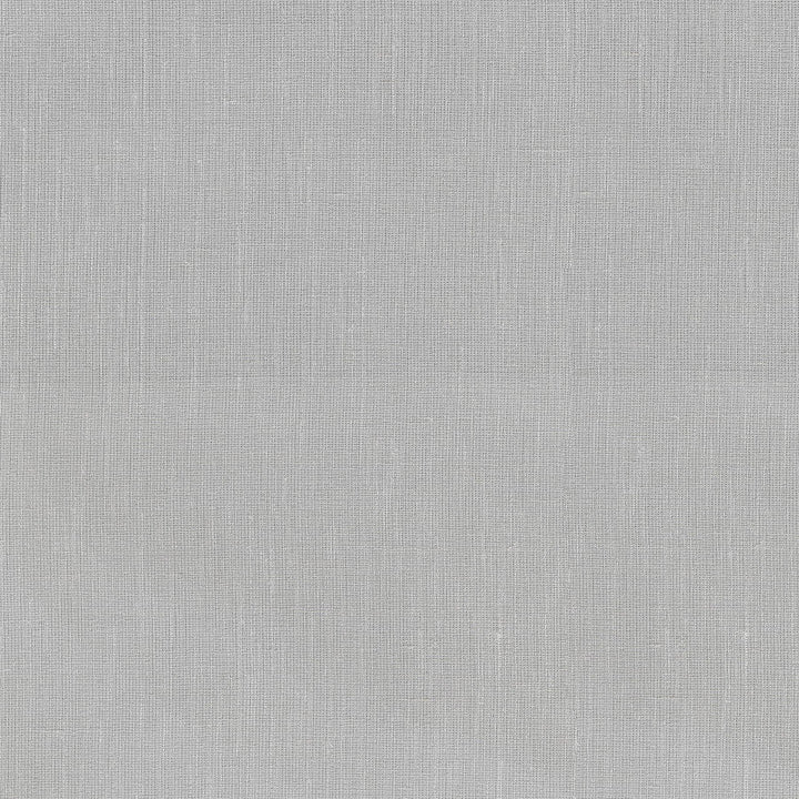 Ariana Silver 411131 by PKL Studio Designer Fabric 66% Polyester, 17% Rayon, 17% Linen India n/a Horizontal: N/A and Vertical: N/A 57 - Swanky Fabrics -
