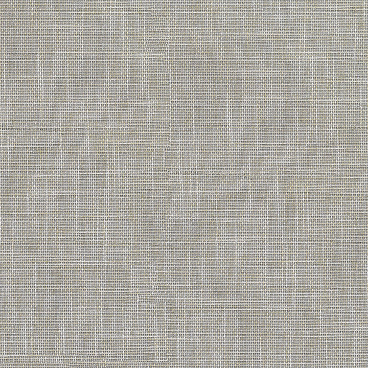 Sabrina Sand 411180 by PKL Studio Designer Fabric 100% Polyester India 28000 Horizontal: N/A and Vertical: N/A 56 - Swanky Fabrics -