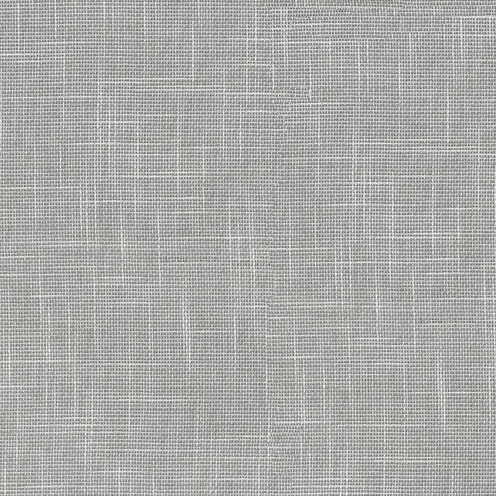 Sabrina Silver 411181 by PKL Studio Designer Fabric 100% Polyester India 28000 Horizontal: N/A and Vertical: N/A 56 - Swanky Fabrics -