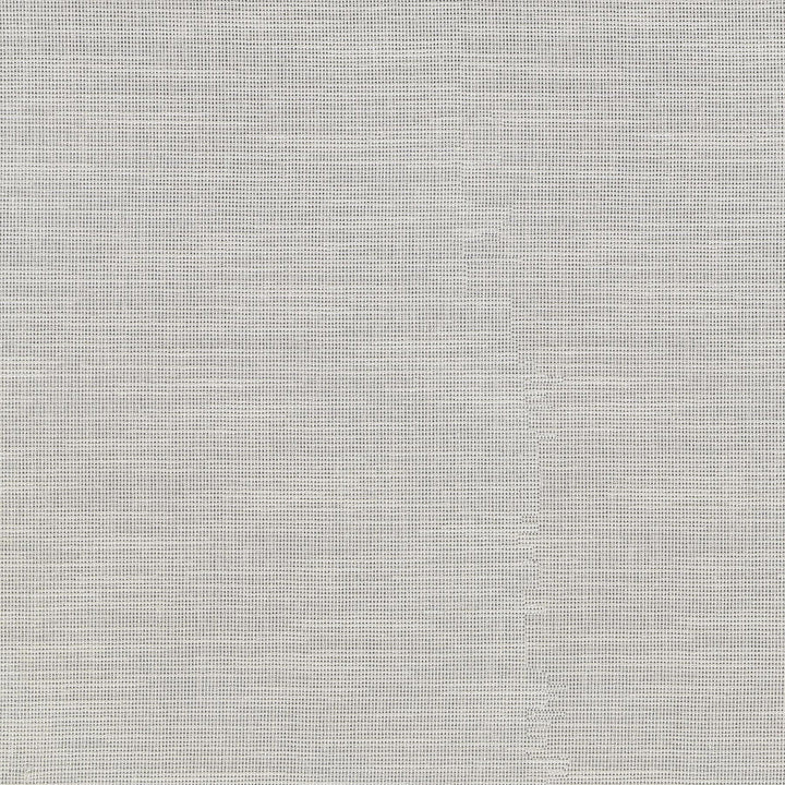 Chiara Ivory 411221 by PKL Studio Designer Fabric 100% Polyester India n/a Horizontal: N/A and Vertical: N/A 54 - Swanky Fabrics -