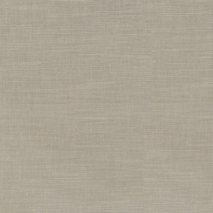 Chiara Linen 411222 by PKL Studio Designer Fabric 100% Polyester India n/a Horizontal: N/A and Vertical: N/A 54 - Swanky Fabrics -