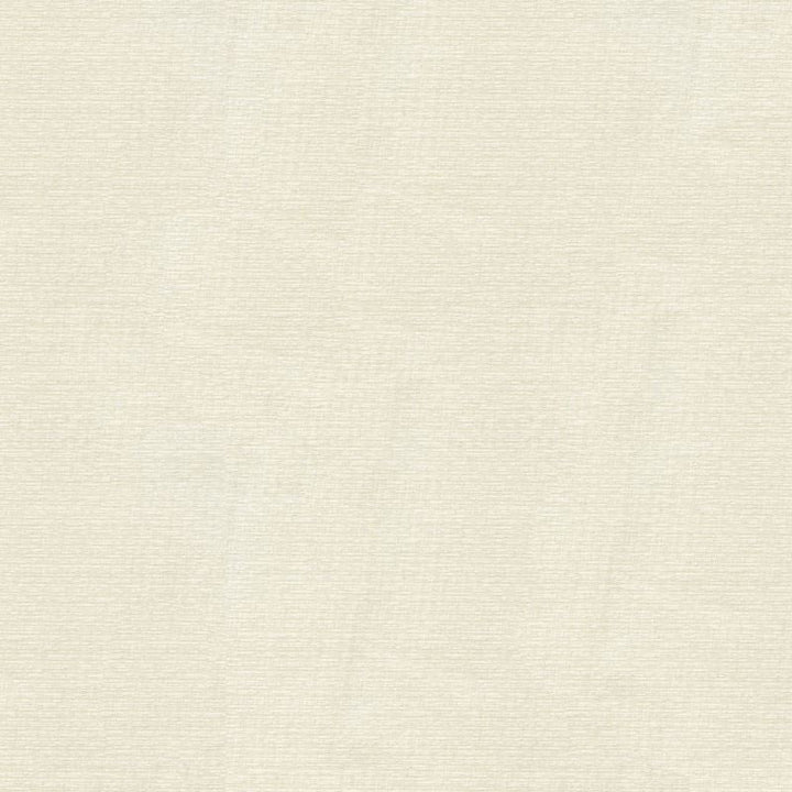 4113.101 by Kravet Basics Designer Fabric in our sample Polyester 100% Turkey See Sample Horizontal: See Sample and Vertical: See Sample 118 inches - Swanky Fabrics -