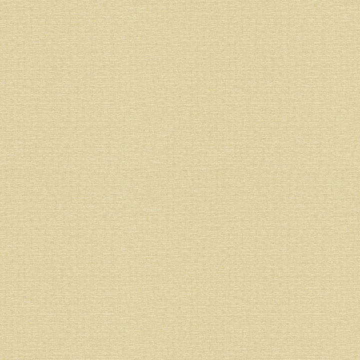 4113.16 by Kravet Basics Designer Fabric our website for purchase Polyester 100% Turkey see sample Horizontal: see sample and Vertical: see sample 118 inches - Swanky Fabrics -