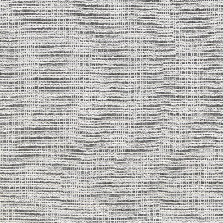 Sienna Snow 411300 by PKL Studio Designer Fabric 81% Polyester, 12% Cotton, 7% Rayon India n/a Horizontal: 2.5 and Vertical: 0.25 54 - Swanky Fabrics -