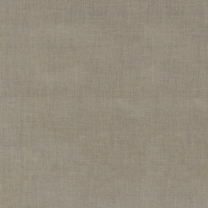 Zeta Linen 411365 by PKL Studio Designer Fabric 100% Linen India n/a Horizontal: N/A and Vertical: N/A 54 - Swanky Fabrics -