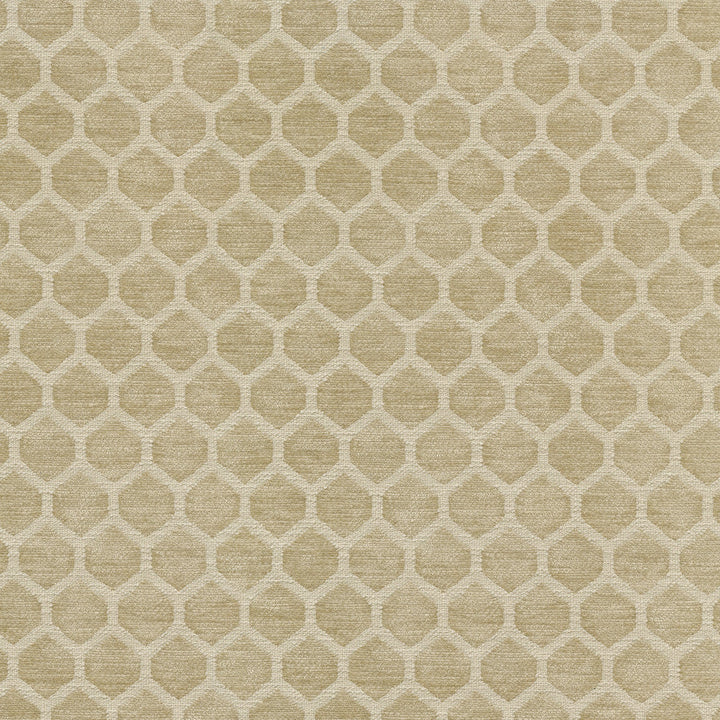 Performance Honeycomb Sand 411376 by PKL Studio Designer Fabric - 100% polyester China 51000 Horizontal: 1.25 and Vertical: 1 55/56 - Swanky Fabrics -