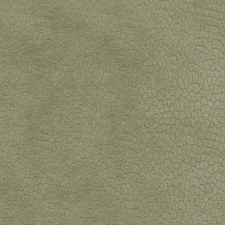 Performance Pebblestone Sage 411469 by PKL Studio Designer Fabric - 100% polyester China 51000 Horizontal: 6.8 and Vertical: 6.8 55 - Swanky Fabrics -