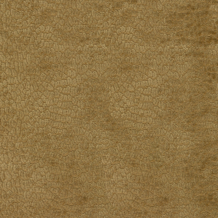 Performance Pebblestone Gold 411471 by PKL Studio Designer Fabric - 100% polyester China 51000 Horizontal: 6.8 and Vertical: 6.8 55 - Swanky Fabrics -