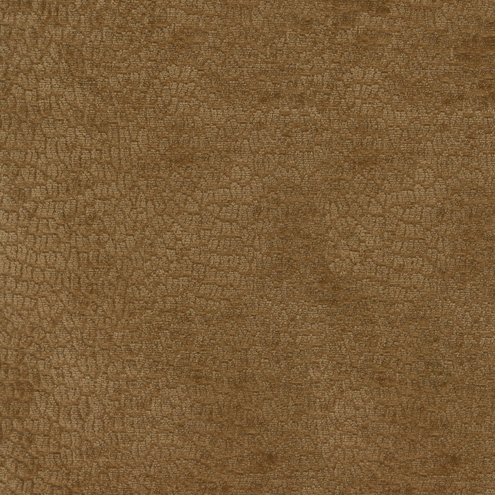 Performance Pebblestone Camel 411477 by PKL Studio Designer Fabric - 100% polyester China 51000 Horizontal: 6.8 and Vertical: 6.8 55 - Swanky Fabrics -