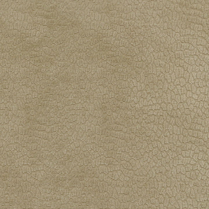 Performance Pebblestone Hemp 411478 by PKL Studio Designer Fabric - 100% polyester China 51000 Horizontal: 6.8 and Vertical: 6.8 55 - Swanky Fabrics -